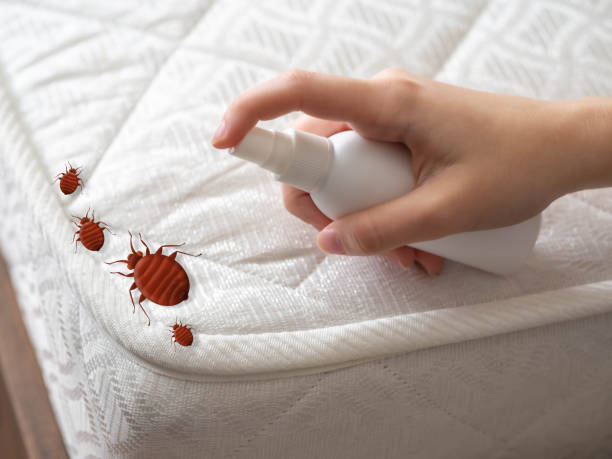 Best Real Estate Pest Inspections  in Franklin, LA